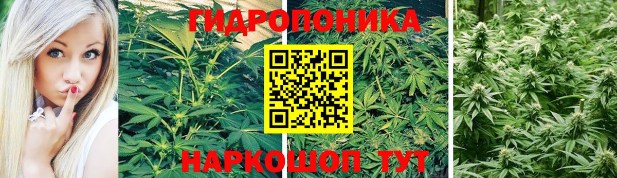 Бошки Шишки Bruce Banner Иваново